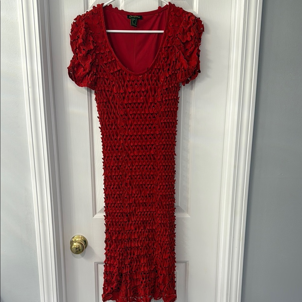 Chic Red Textured Dress - Picture 4 of 6